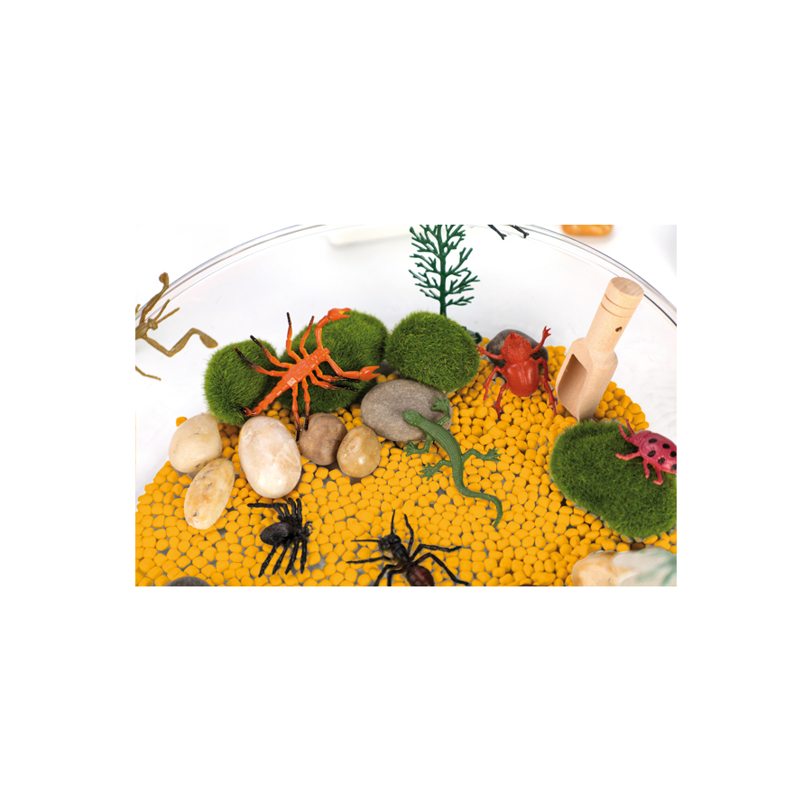 Bac d’exploration Insectes – Sensoriel nature & figurines dès 3 ans