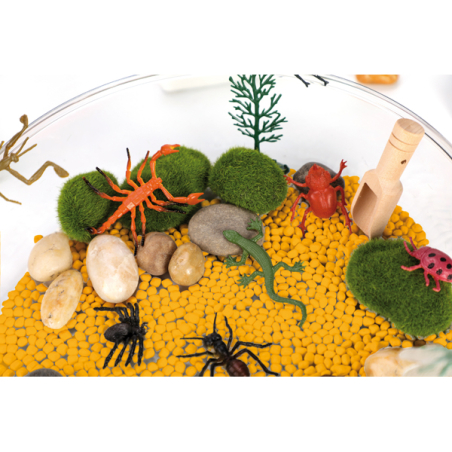 Bac d’exploration Insectes – Sensoriel nature & figurines dès 3 ans