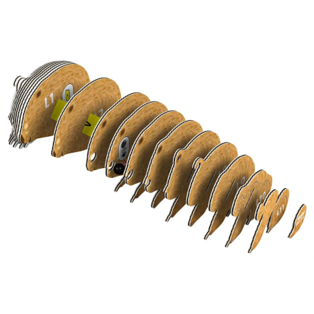 Wombat Puzzle Eugy 3D | Marsupial Australie collectionner