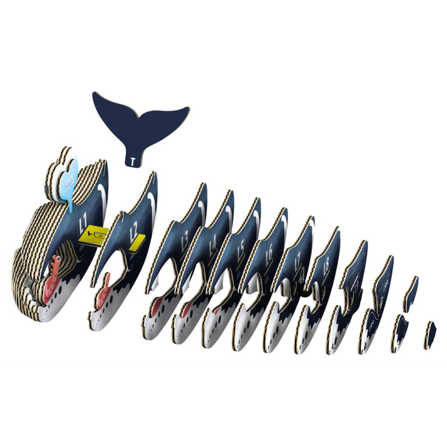 Baleine Boréale Puzzle Eugy 3D | Mammifère marin géant