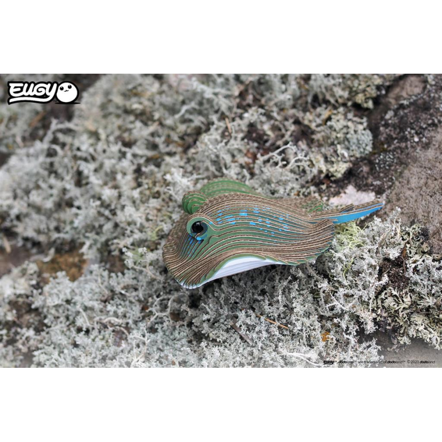 Raie Puzzle Eugy 3D | Poisson cartilagineux marin