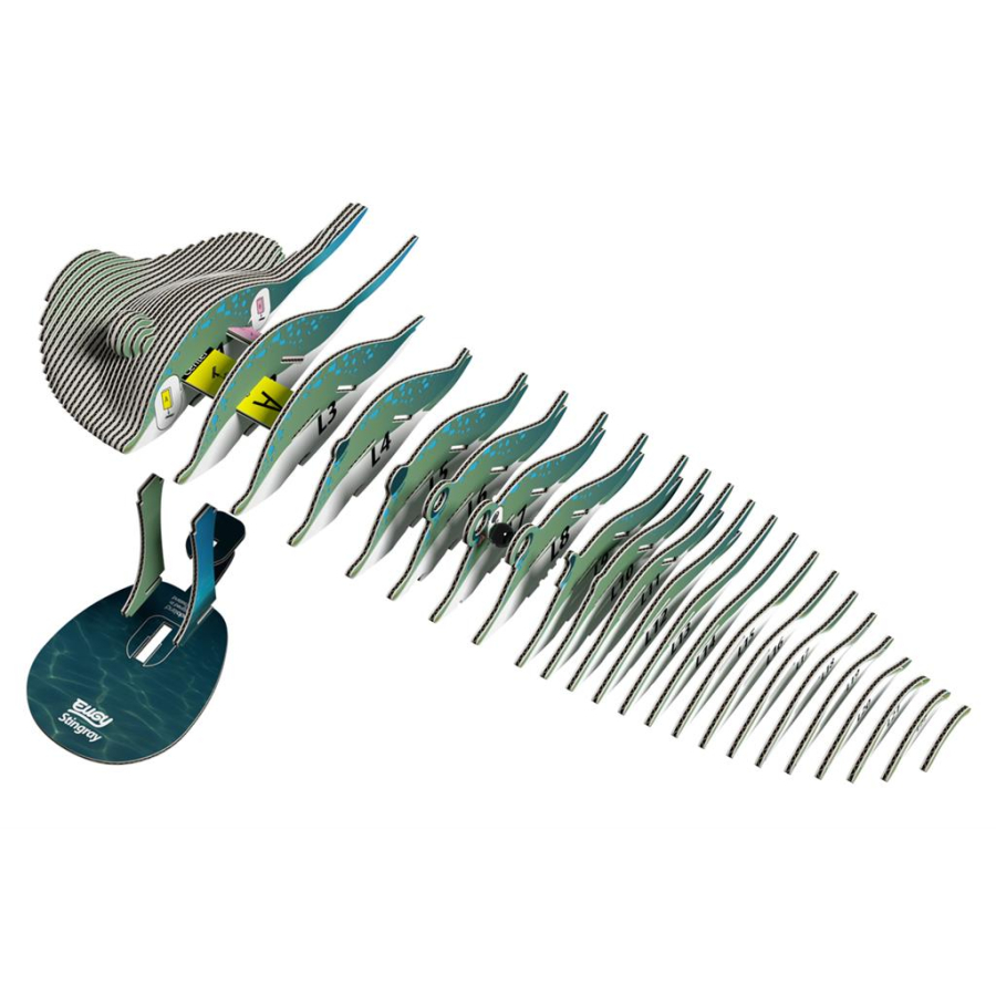 Raie Puzzle Eugy 3D | Poisson cartilagineux marin