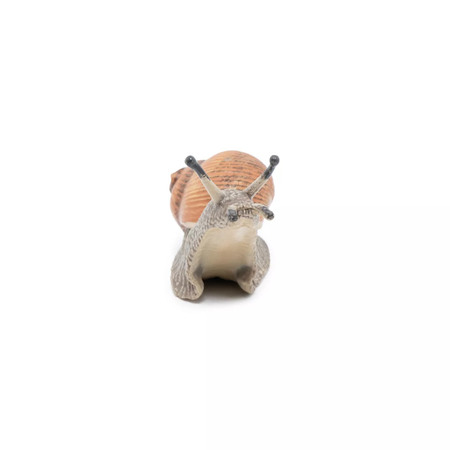 Escargot Figurine Papo 50262 | Mollusque Jardin