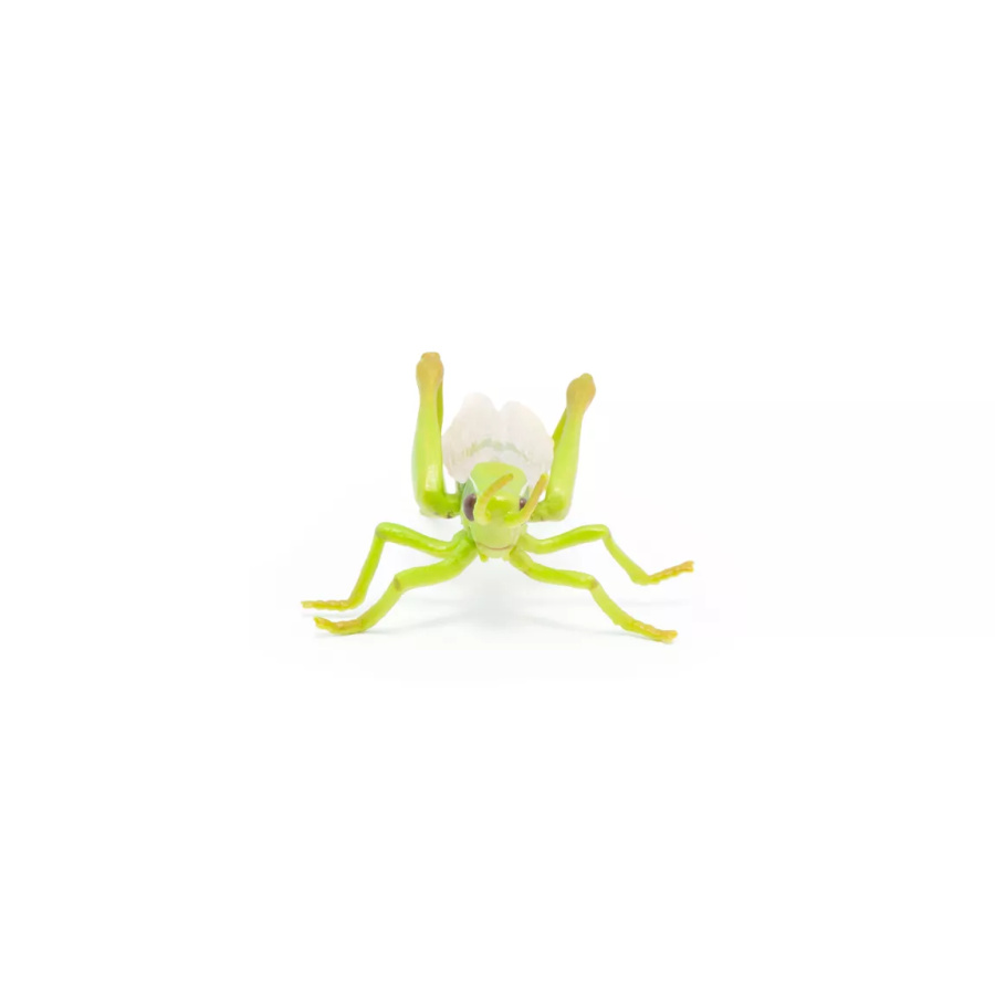 Sauterelle Figurine Papo 50268 | Insecte Sauteur Jardin