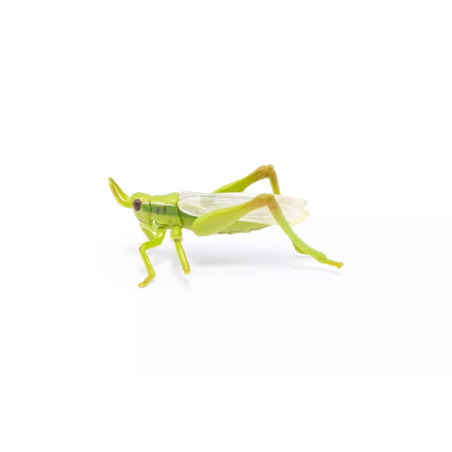 Sauterelle Figurine Papo 50268 | Insecte Sauteur Jardin