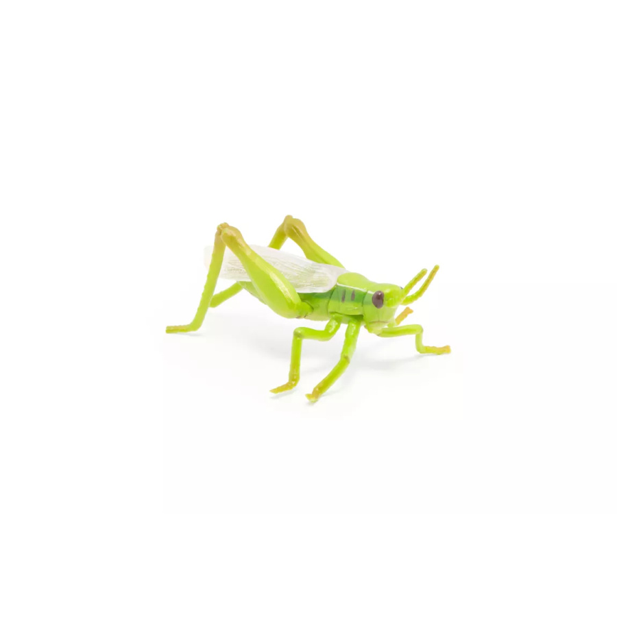 Sauterelle Figurine Papo 50268 | Insecte Sauteur Jardin