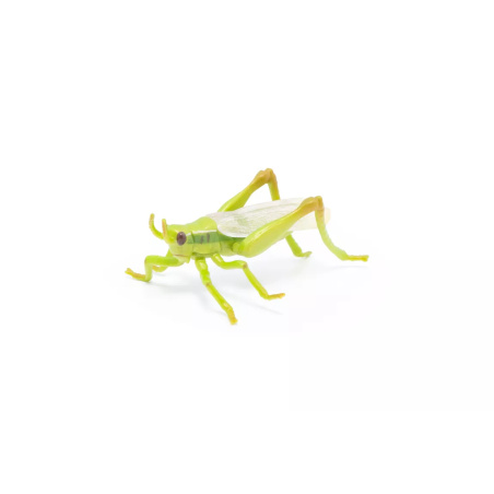 Sauterelle Figurine Papo 50268 | Insecte Sauteur Jardin