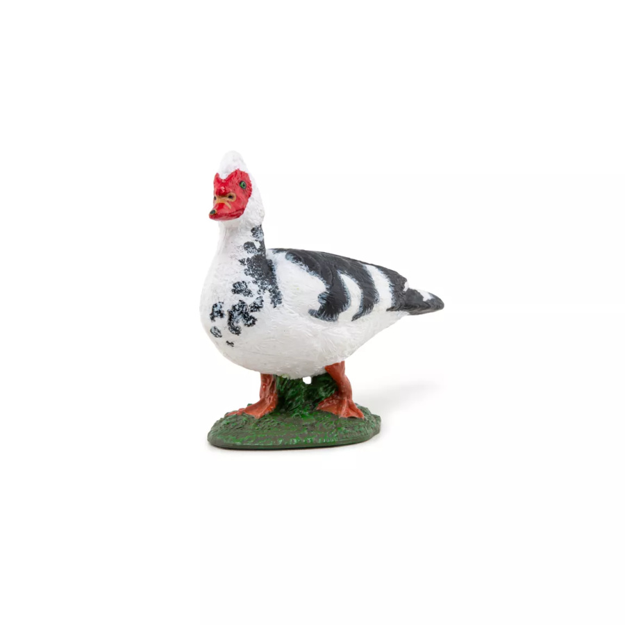 Canard Barbarie Figurine Papo 51189 | Palmipède Ferme