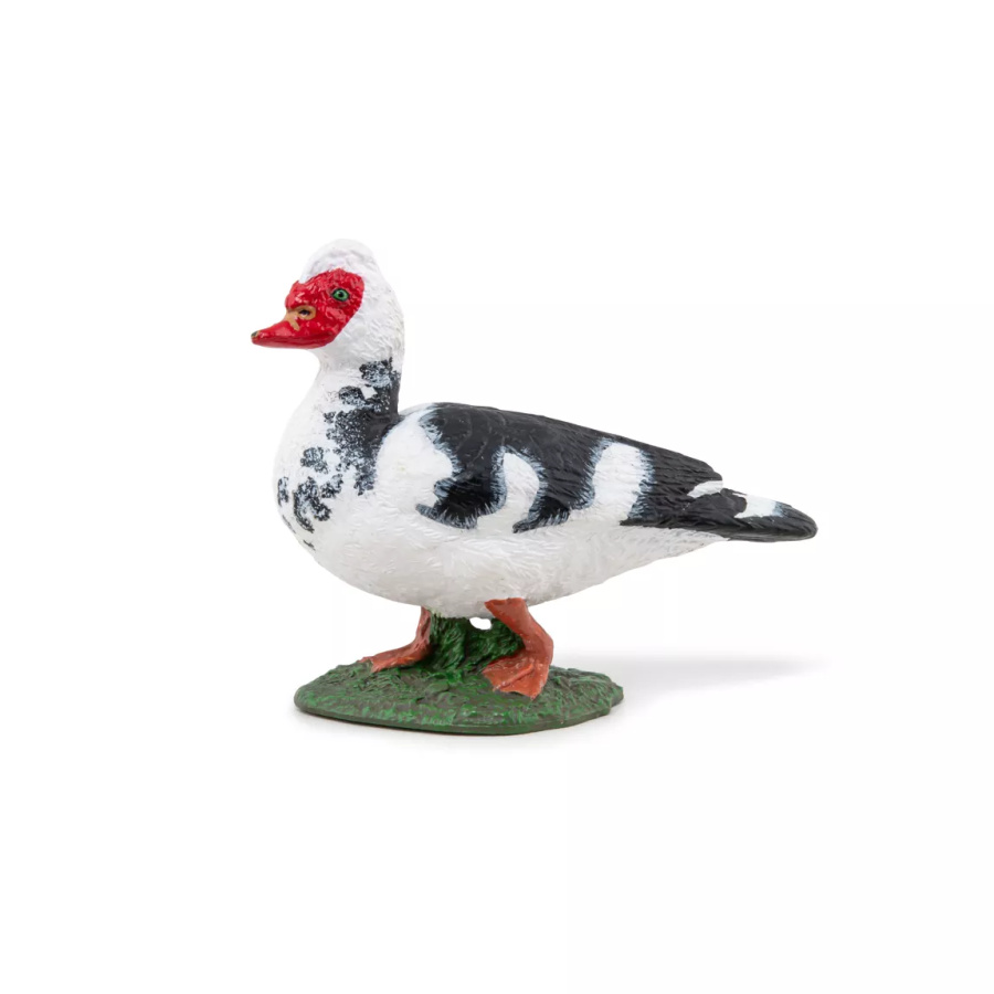 Canard Barbarie Figurine Papo 51189 | Palmipède Ferme