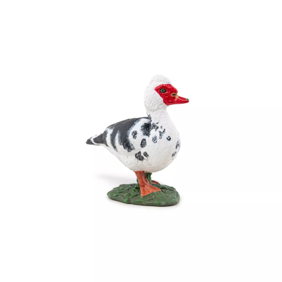 Canard Barbarie Figurine Papo 51189 | Palmipède Ferme
