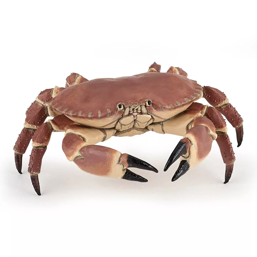 Crabe Figurine Papo 56047 | Crustacé Marin Littoral