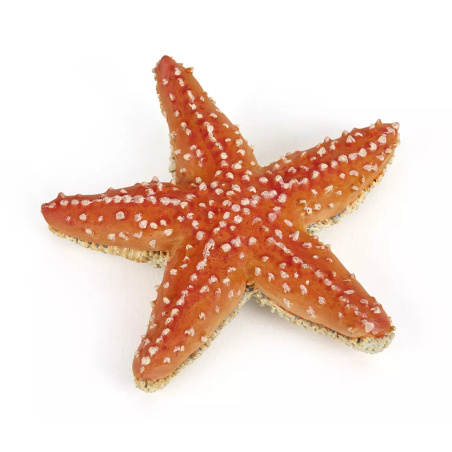 Étoile Mer Figurine Papo 56050 | Échinoderme Marin