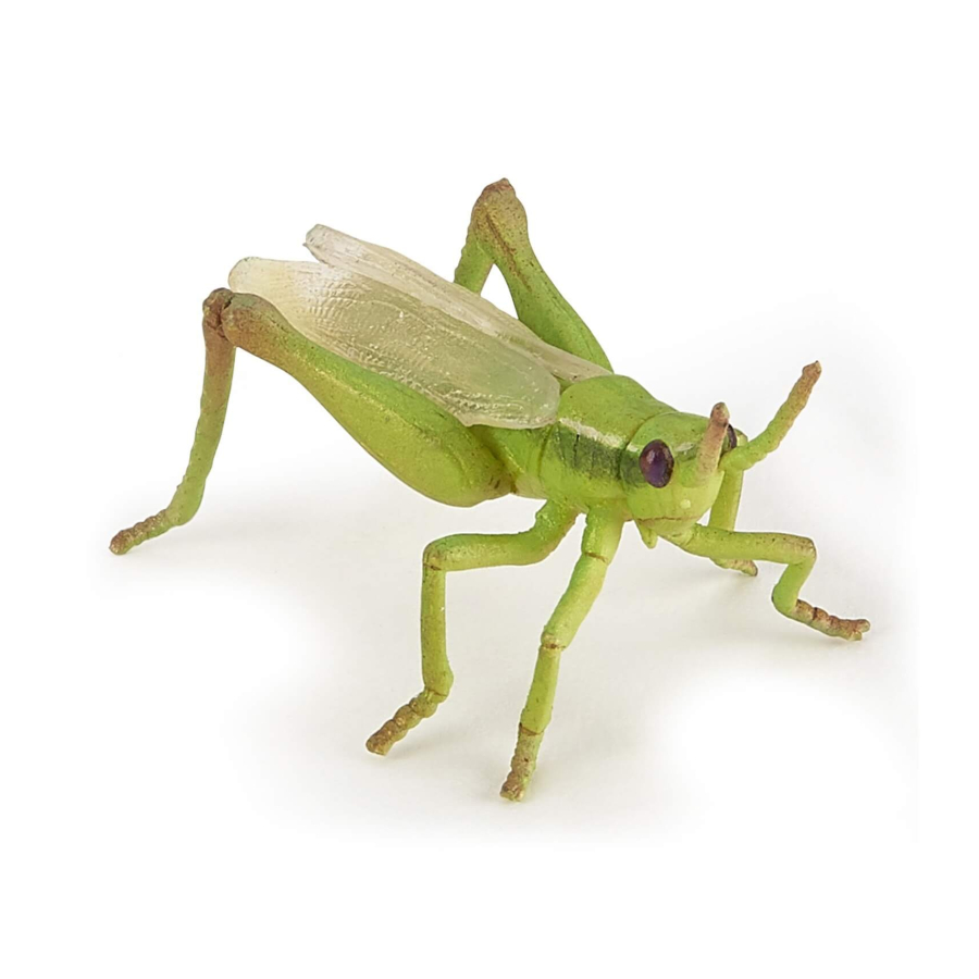 Sauterelle Figurine Papo 50268 | Insecte Sauteur Jardin