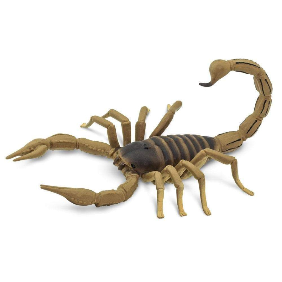 Figurine Scorpion - Safari Ltd® 100260 | Jouet réaliste | Matériel pédagogiqueAnimaux Montessori