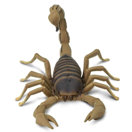 Figurine Scorpion - Safari Ltd® 100260 | Jouet réaliste | Matériel pédagogiqueAnimaux Montessori