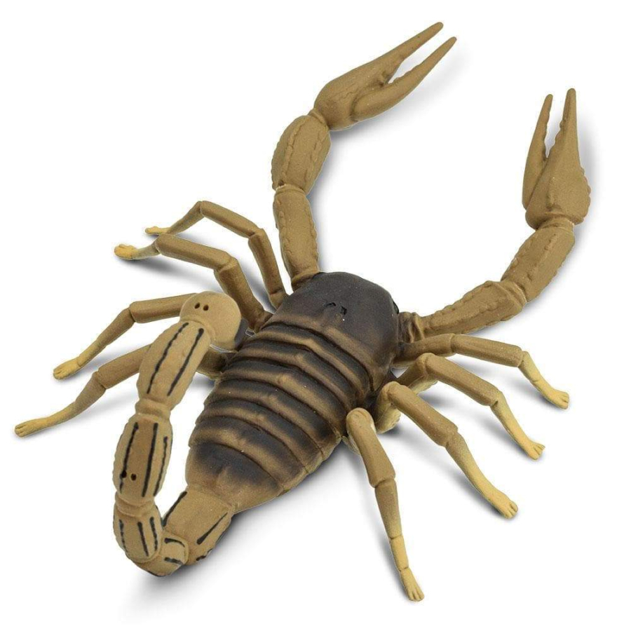 Figurine Scorpion - Safari Ltd® 100260 | Jouet réaliste | Matériel pédagogiqueAnimaux Montessori