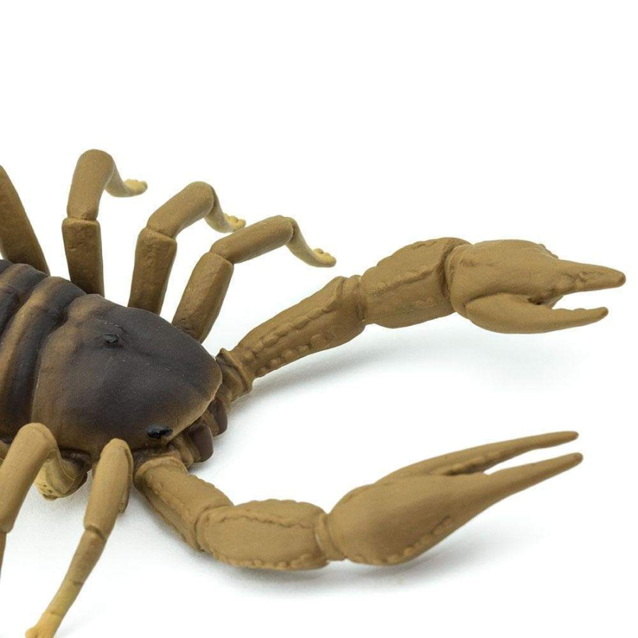Figurine Scorpion - Safari Ltd® 100260 | Jouet réaliste | Matériel pédagogiqueAnimaux Montessori