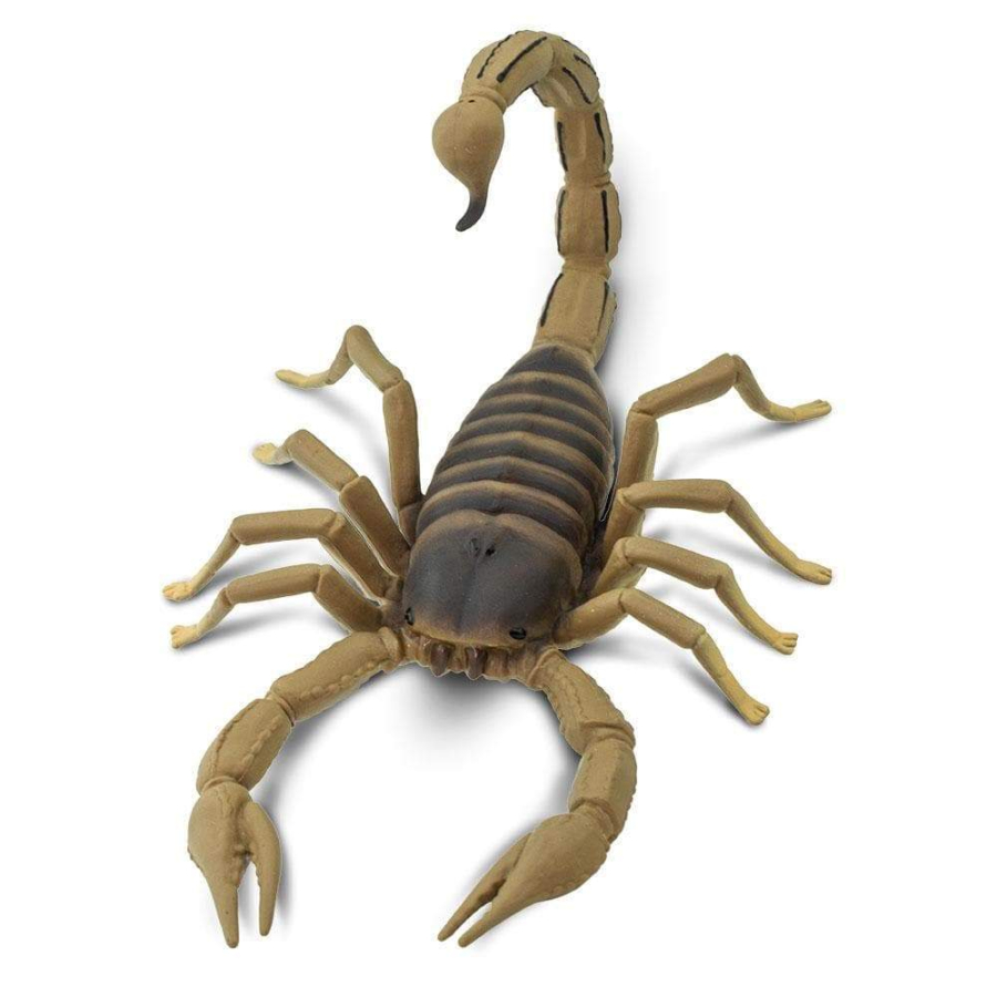 Figurine Scorpion - Safari Ltd® 100260 | Jouet réaliste | Matériel pédagogiqueAnimaux Montessori