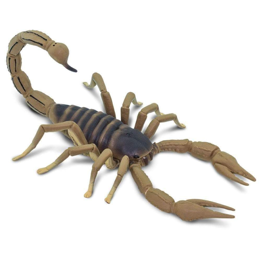 Figurine Scorpion - Safari Ltd® 100260 | Jouet réaliste | Matériel pédagogiqueAnimaux Montessori