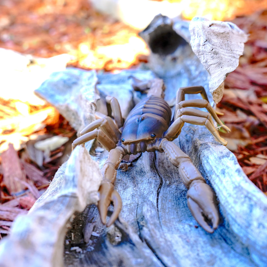 Figurine Scorpion - Safari Ltd® 100260 | Jouet réaliste | Matériel pédagogiqueAnimaux Montessori