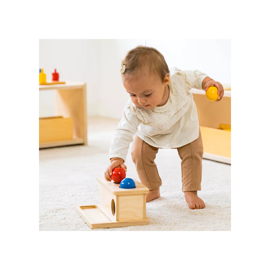 Boîte à Pousser Montessori - Motricité Fine Bébé Nienhuis AMI