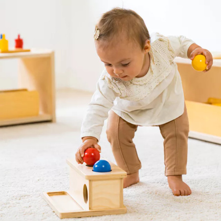 Boîte à Pousser Montessori - Motricité Fine Bébé Nienhuis AMI