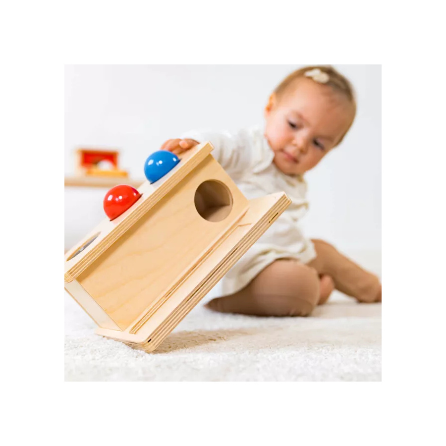 Boîte à Pousser Montessori - Motricité Fine Bébé Nienhuis AMI