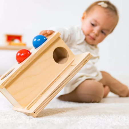 Boîte à Pousser Montessori - Motricité Fine Bébé Nienhuis AMI