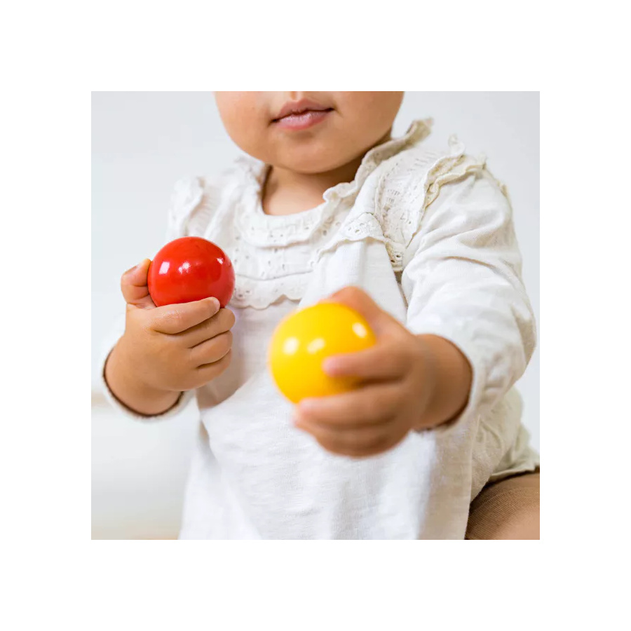 Boîte à Pousser Montessori - Motricité Fine Bébé Nienhuis AMI