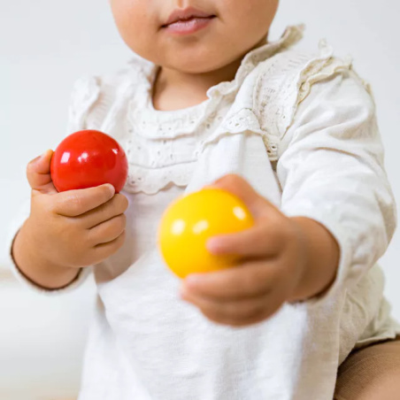 Boîte à Pousser Montessori - Motricité Fine Bébé Nienhuis AMI