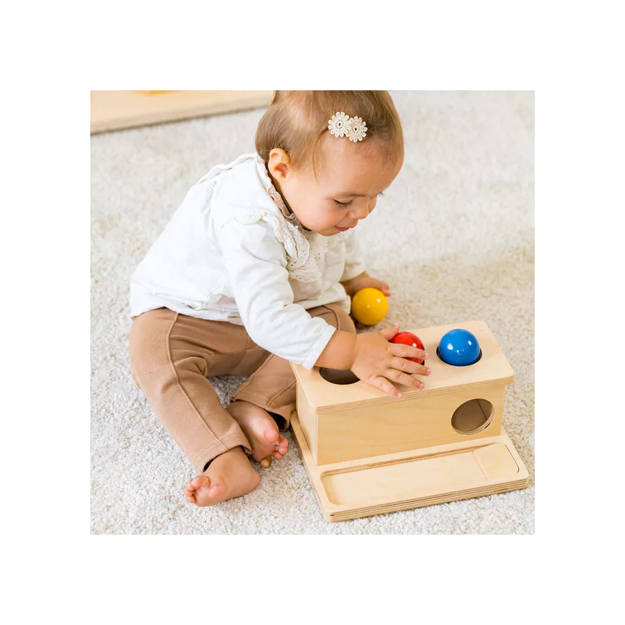 Boîte à Pousser Montessori - Motricité Fine Bébé Nienhuis AMI