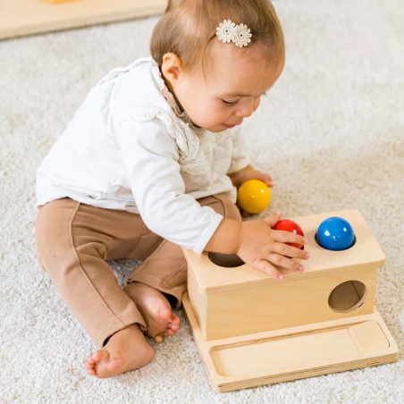 Boîte à Pousser Montessori - Motricité Fine Bébé Nienhuis AMI