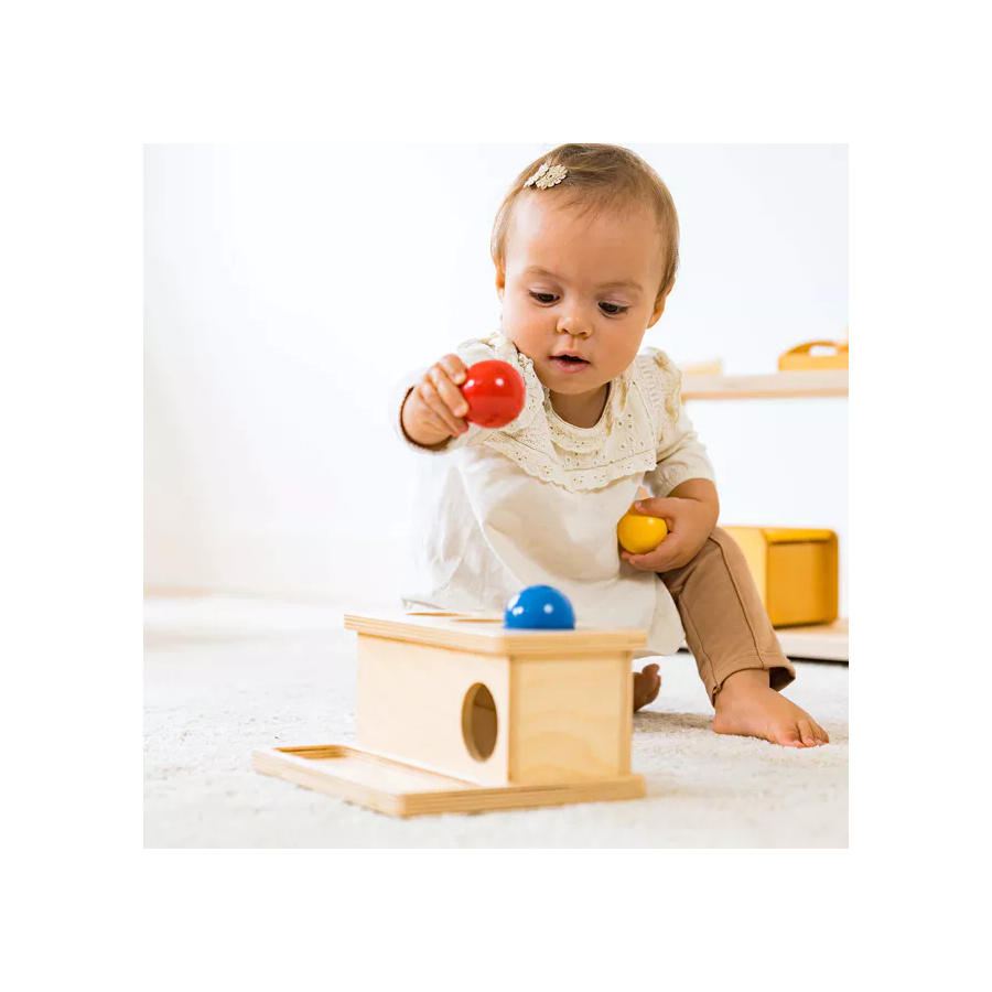 Boîte à Pousser Montessori - Motricité Fine Bébé Nienhuis AMI