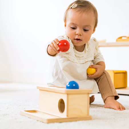 Boîte à Pousser Montessori - Motricité Fine Bébé Nienhuis AMI