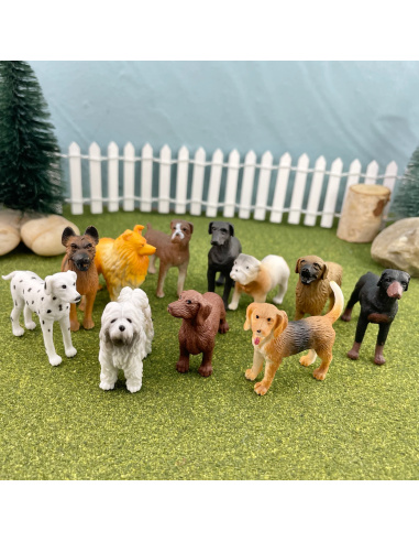 Figurines Chiens - tube Safari Ltd® 695504 | Jouet réaliste | Matériel pédagogiqueAnimaux Montessori
