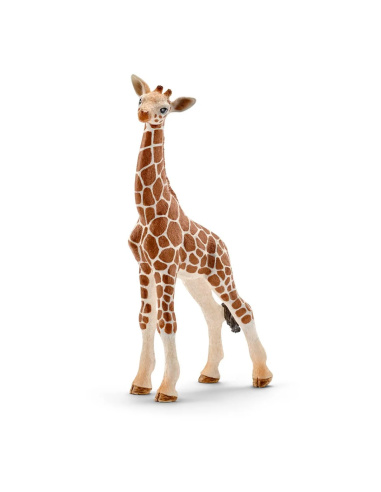 Bébé Girafe Schleich 14751 | Girafon Figurine Réaliste | LeMinis