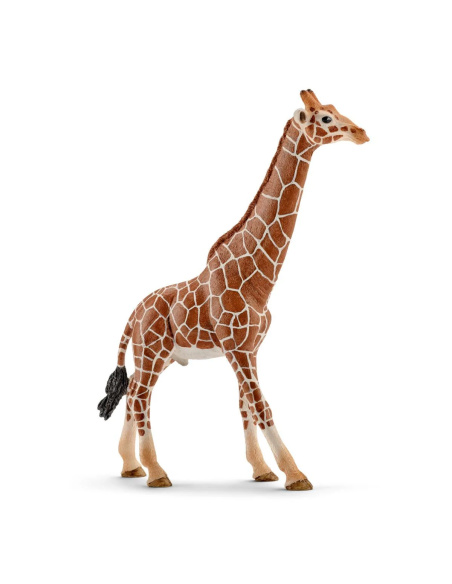 Girafe Mâle Schleich 14749 | Figurine Géant Terrestre | LeMinis
