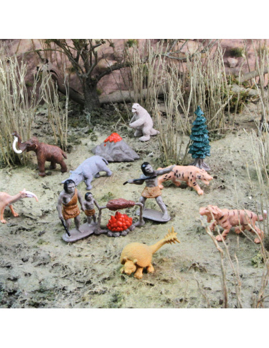 Tube Préhistoire : 12 figurines en plastique pour découvrir la vie à la Préhistoire | Safari LTD 681003 Jouet préhistorique
