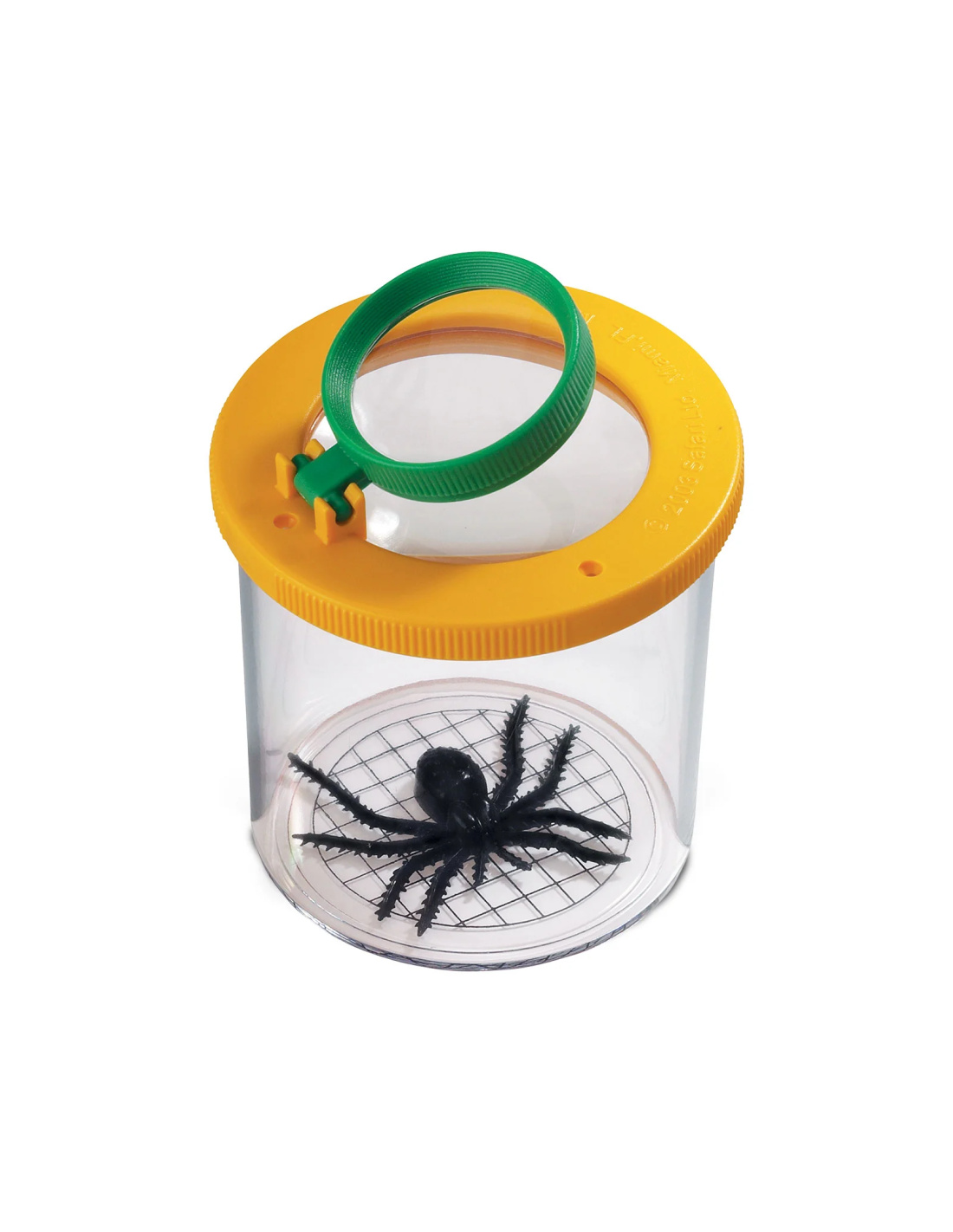 Attrape-araignées Avec Loupe Et Boîte D'observation – Outil Sans Contact Pour Capturer Et Relâcher Les Petites Bêtes En Toute Sécurité