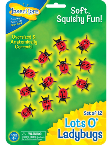 Ensemble de 12 mini Coccinelles Douces et Moelleuses - Figurines Éducatif