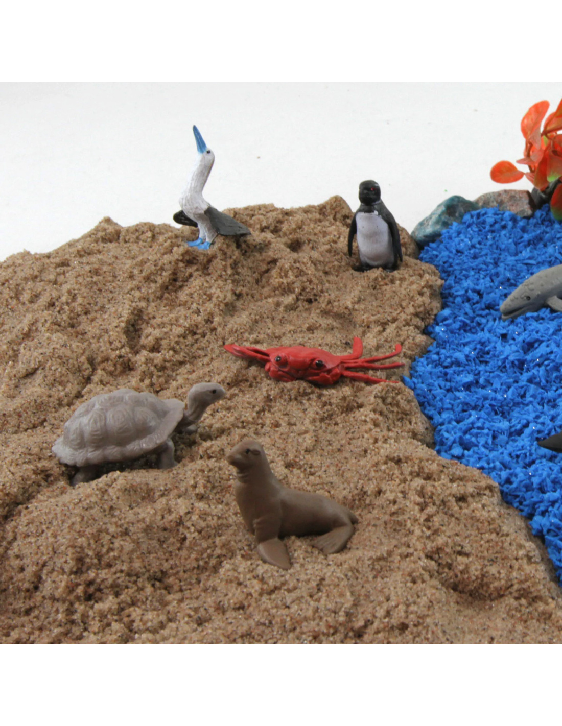 SpriteGru 24PCS Figurines Animaux Sauvages Et Marins + 24 Cartes - Jouets Éducatifs Montessori Pour Enfants