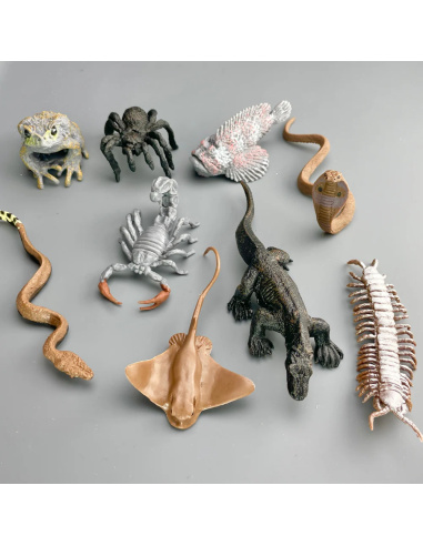 Animaux Venimeux Safari Ltd Figurines TOOB | Jeu Éducatif pour Enfants