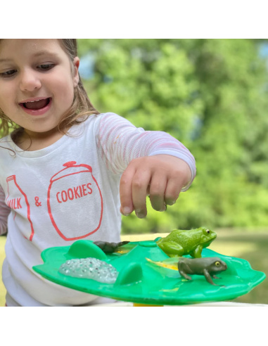 Cycle de Vie de la Grenouille Safari Ltd : Figurines Éducatives Montessori | LesMinis.fr