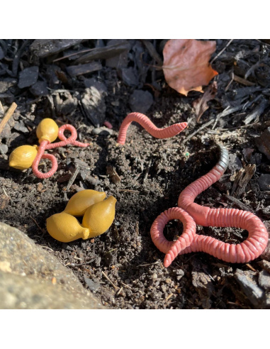 Cycle de vie du ver de terre Safari Ltd - 4 Figurines lombric réalistes