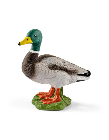 Figurine Canard Schleich 13824 - Réaliste
