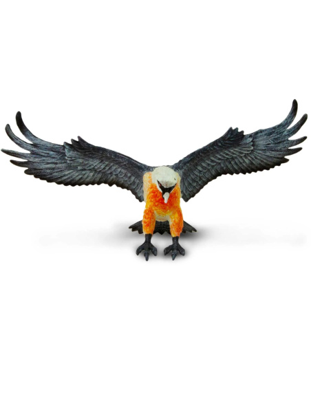 Figurine Vautour Barbu (Gypaetus barbatus) – Oiseaux Sauvages | Safari Ltd®
