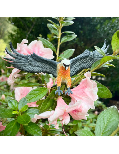 Figurine Vautour Barbu (Gypaetus barbatus) – Oiseaux Sauvages | Safari Ltd®