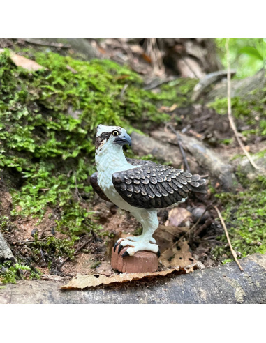 Figurine Balbuzard Pêcheur (Pandion haliaetus) – Oiseaux Sauvages | Safari Ltd®