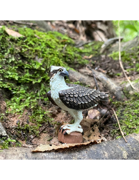 Figurine Balbuzard Pêcheur (Pandion haliaetus) – Oiseaux Sauvages | Safari Ltd®