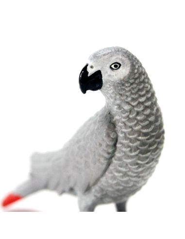 Figurine Perroquet Gris du Gabon Réaliste | Safari Ltd | Animaux Exotiques